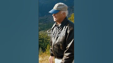 How Did Yellowstone Petrified Forest Form?