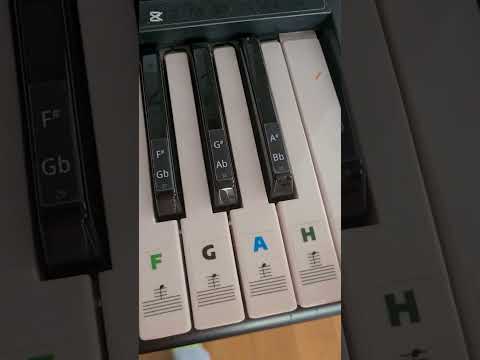 Plankton Moaning Meme Plankton Piano