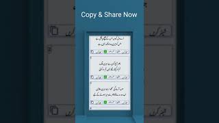 Urdu Poetry app with Love and Sad Poetry screenshot 5