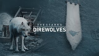 The Starks Direwolves 8X04