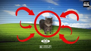 meowsa [VISUALIZER]