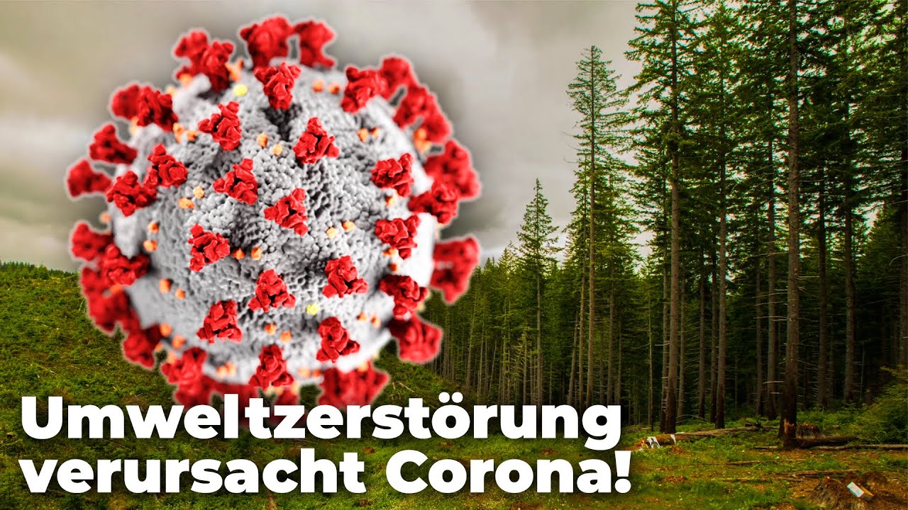 Umweltzerstörung ist an Corona-Pandemie schuld! - Clixoom nature
