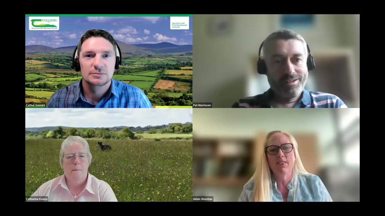 Signpost Series: Extensive Grasslands