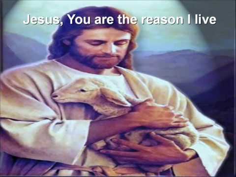 The Reason I Live Video