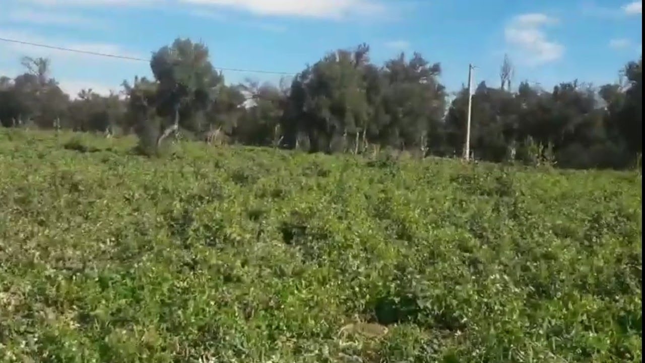 خرجة ترفيهية من تارودانت الى اولاد برحيل تنزرت