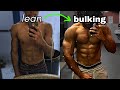 How to LEAN BULK (no bs guide)