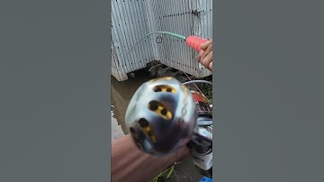 Câu cá basa gặp cảnh cá rút mồi thần tốc#shorts #cauca #fishing #caucagiaitri