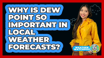 Why Is Dew Point So Important In Local Weather Forecasts? - Weather Watchdog