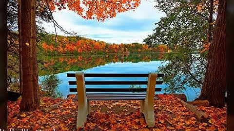 " *واذ قال إبراهيم رب أجعل هذا البلد آمنا* " تلاوة رائعة