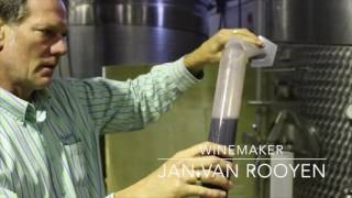 From The Vine - Into The Gl