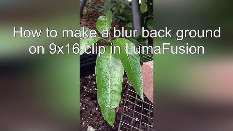 How to make a blurred background on 9x16 video clips in LumaFusion