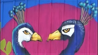 Artists Put Finishing Touches On Wabash Walls Murals