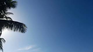 Aldeia Hippie Arembepe Salvador-Ba Brasil 2020