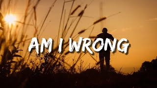 Nico ft Vinz "AM I WRONG" (Lyrics)