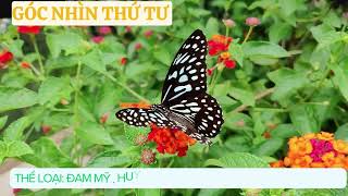 [AUDIO-FULL] - TẬP 2 : GÓC NHÌN THỨ TƯ