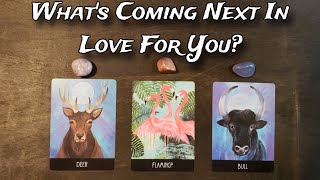 What's COMING NEXT In Your Love Life?  Pick A Card Love Reading