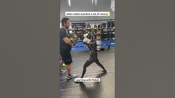 lower blow by Robot 😳 #shortsvideo #shorts #robots #technology #fight #sparring #fighter
