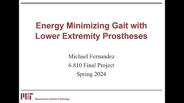 Energy Minimizing Gait with Lower Extremity Prostheses - 6.8210 Project Video