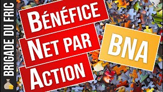 BNA, BPA, BNPA  Bénéfice Net par Action