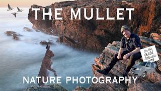 Nature Photography on the Mullet: Tips and Techniques: Patience and Persistence (Wildlife)