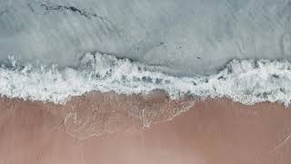pov: you’re alone at the sea asking yourself who do they love