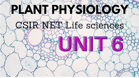 CSIR NET life science unit 6 plant physiology