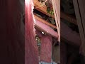 Remnants of Our Home After Hurricane Helene
