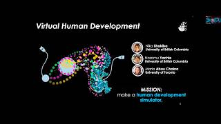 Virtual Human Development: bridging theory and experiments by Maria Abou Chakra