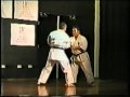Higaonna Sensei & Sensei Lambert 1996 IOGKF demo