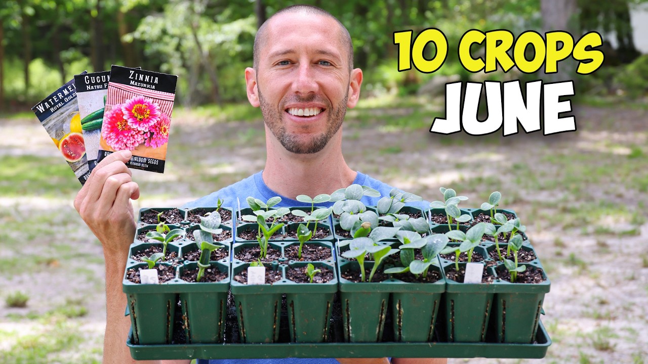 10 Crops You'd Be Foolish Not to Plant in June