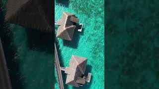 $10,000 per night in Bora Bora