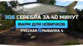 ФАРМ СЕРЕБРА для НОВИЧКОВ ● РАЗДАЧА МУХИ ● Русская Рыбалка 4