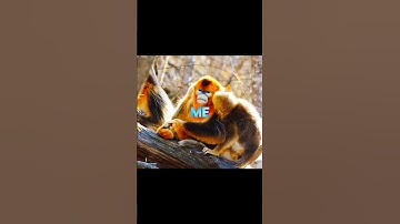 Take a break from doom scrolling