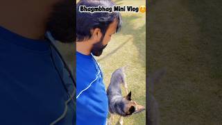 ☎️ Subha Hi Phone Aa Jata Hai😊#Mini Vlog #Amit Sahota Vlog🙂