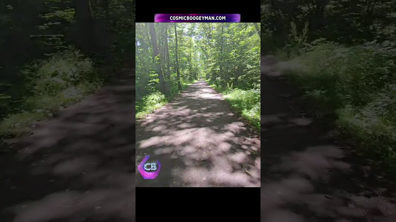 👓 Cosmic Lens | Can You Feel the Forest's Rhythm 🌿 #mrcosmic #CosmicLens #tarot mp4 thumbnail