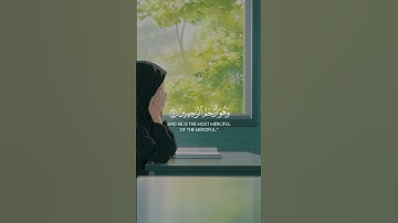 آيات// أكتب شيء تؤجر عليه🤍🌺 #الرحمن #المصحف #اكسبلور #quran