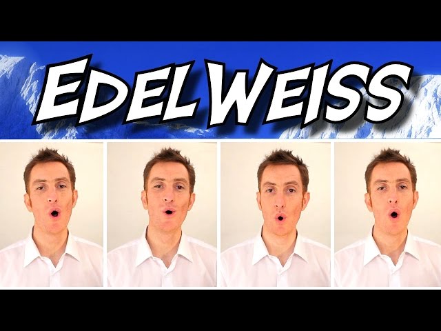 Edelweiss (The Sound Of Music) - A Cappella Barbershop Quartet - Julien Neel class=