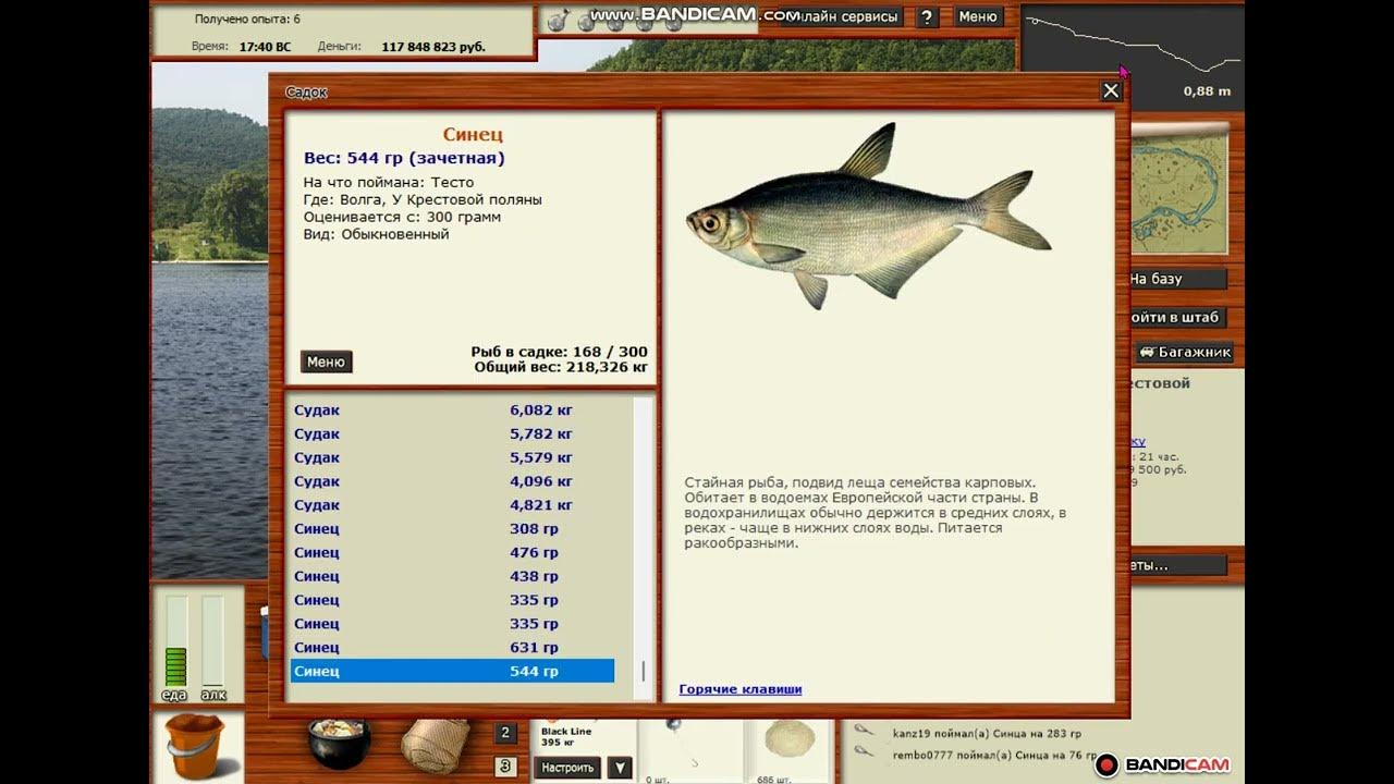 Рр3 синец. Рр3 синец. Ахтуба синец русская рыбалка 3. Лосось дунайский рр3. Рр3 волга.