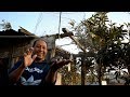 Liberando A un lindo Pajarito
