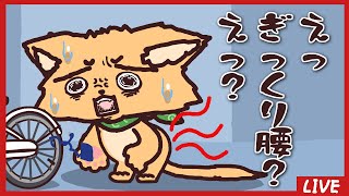 【作業】おおみそかにぎっくり腰をかました犬