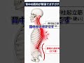 【寝転がって、背中に手が入る人、死ぬほど睡眠の質低く、下腹ぽっこりです】　#ダイエット #宅トレ #筋トレ