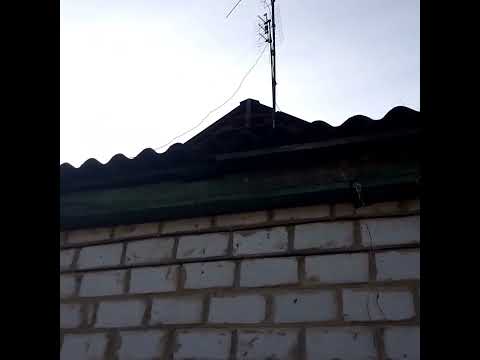 Воробьи вьют гнезда под нашей крышей #гнезда #воробьи #sparrow #крышадома #крыша #гнездилов