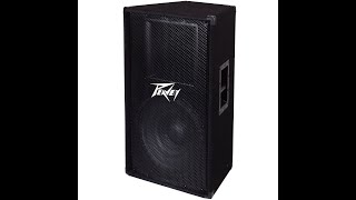 Peavey Powered Speaker DPE215 & PV115 with DM 118 Subwoofer Speakers Demo Loudspeaker System