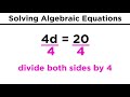 Solving Algebraic Equations Fundamentals