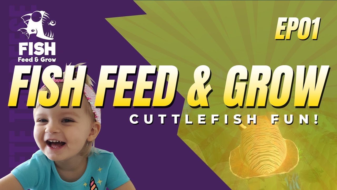 Learning to Play Fish Feed & Grow Cuttlefish EP01