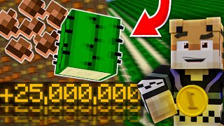 The Easiest 25Mil/Hour Ever... -- Hypixel Skyblock