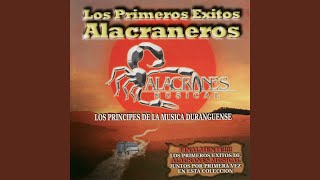 Video thumbnail of "Alacranes Musical - Los 500 Novillos"