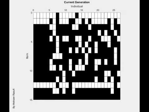 Genetics Algorithm (GA) solving a constraint packing problem.