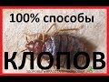 100% способы избавления от КЛОПОВ в квартире