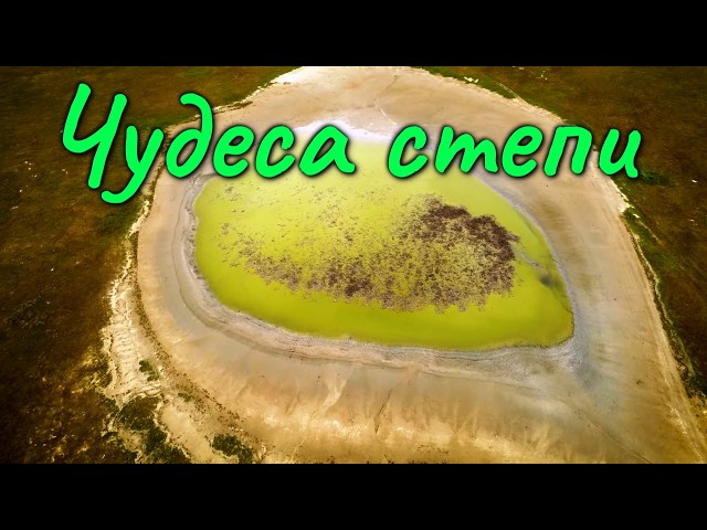 Как выжить в степи и кто тут обитает